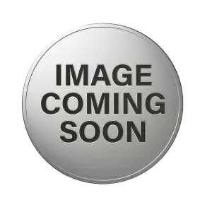 Miscellaneous Silver Coin